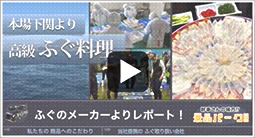 動画1