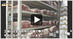 動画1